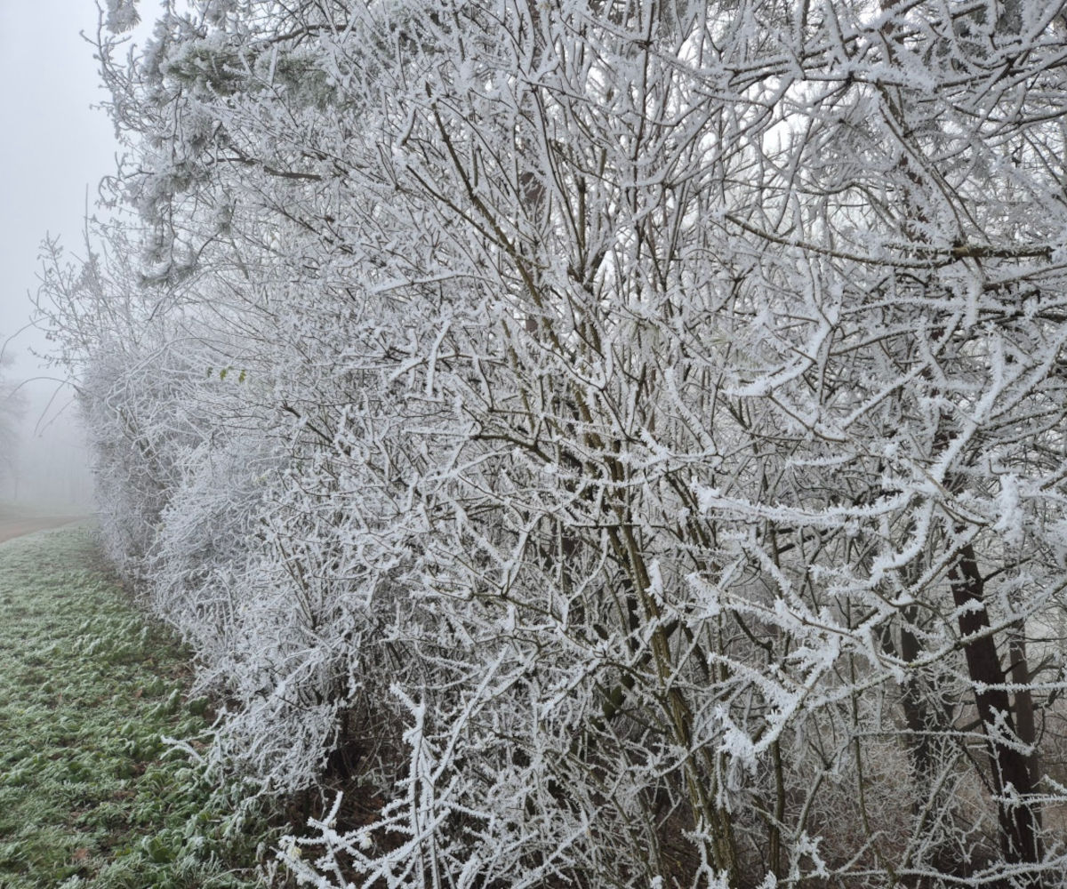 Winterarbeiten bei QR-Gartenbau